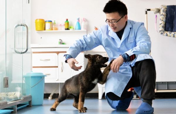 <br />
В Китае тренируют полицейскую собаку-клона<br />
